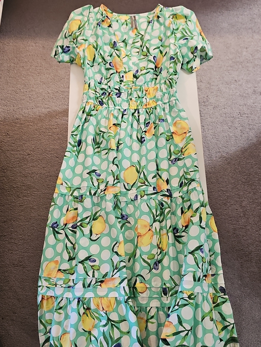 NWT (Detached) Anthropologie Mint Green Polka Dot Lemon Print Dress